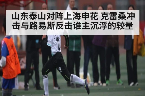 山东泰山对阵上海申花 克雷桑冲击与路易斯反击谁主沉浮的较量