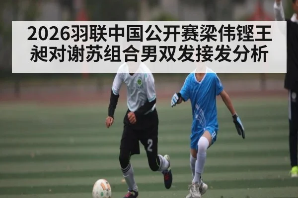 2026羽联中国公开赛梁伟铿王昶对谢苏组合男双发接发分析